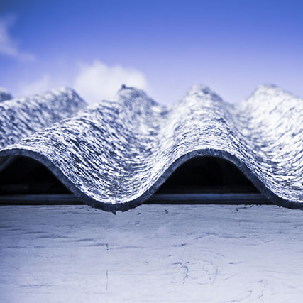 Hero image description