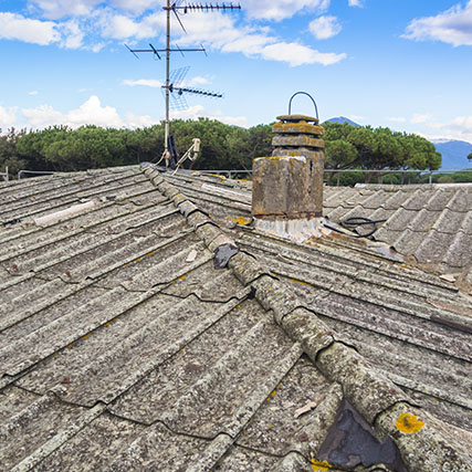 Hero image description